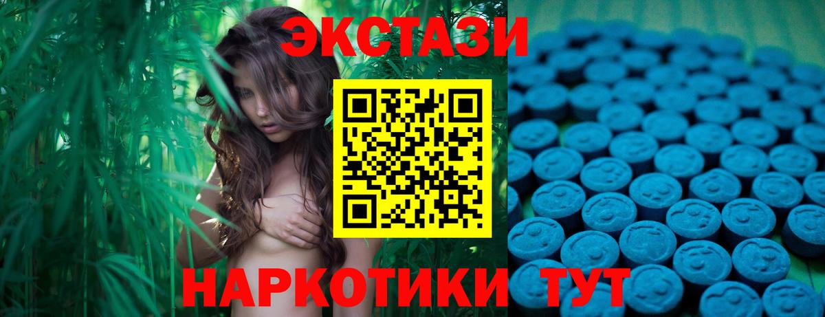Ecstasy бентли Буйнакск