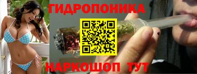крисы Рузаевка