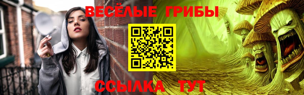 Псилоцибиновые грибы GOLDEN TEACHER  Псилоцибиновые грибы Psilocybe  Вход с VPN  Буйнакск 